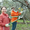 When To Trim Trees